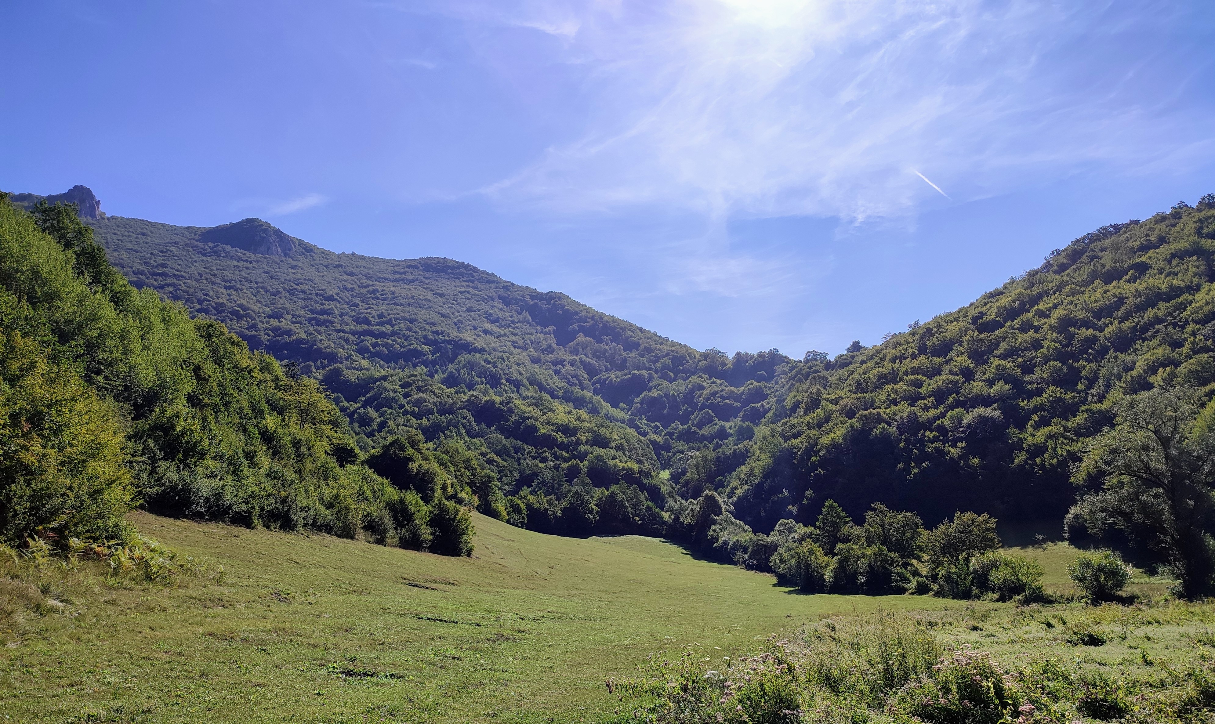 Sunlit grassy valley framed by forested mountains at the Erak prospect, Golden Hills project