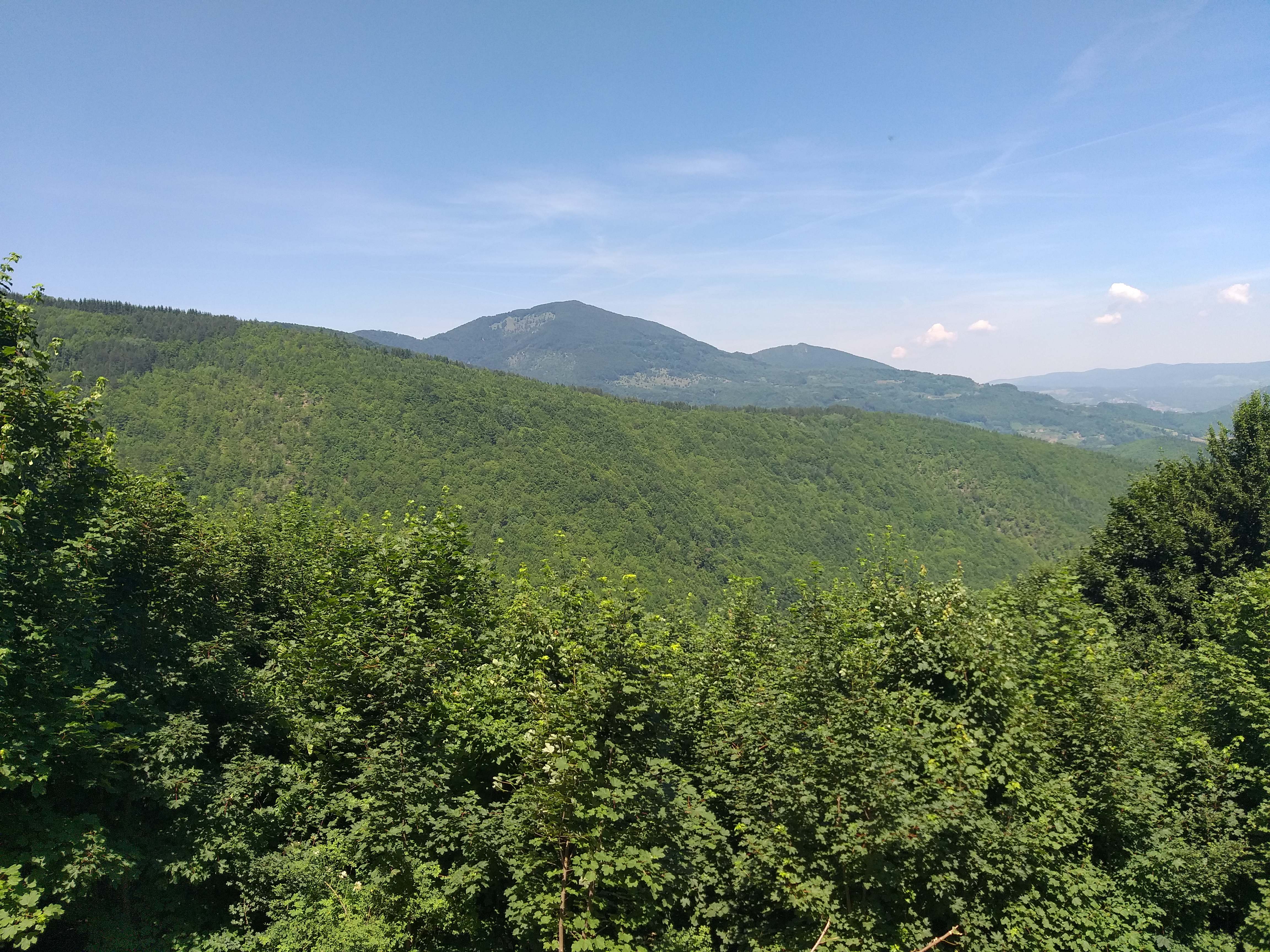 Forested green hills rising to a mountain peak under a clear blue sky at the Golden Hills project, Sinjakovo and Jezero
