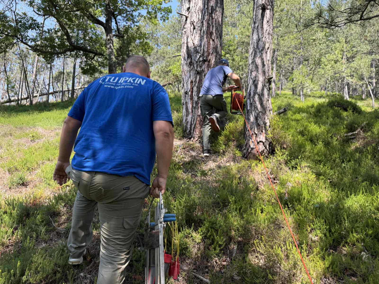 Two crew members carrying geophysical survey reels and equipment up a forested slope